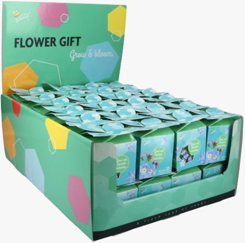 Buzzy Flower Gift (48x) Vergeet me niet - Myosotis (Display 48x)
