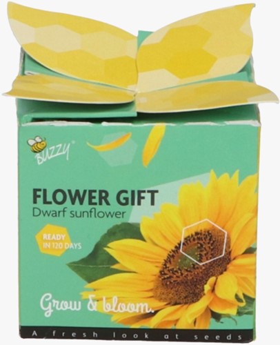 Buzzy Flower Gift Zonnebloem Helianthus (1 Doosje)