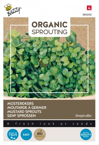 Organic Sprouting Mosterdkers - Buzzy BIO