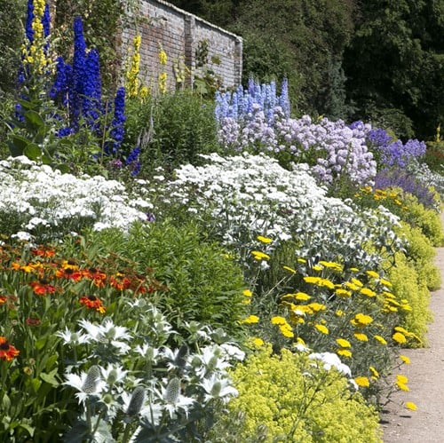 Tuinborder Wit, Blauw & Geel - Modeste Herwig