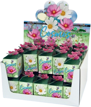 Greengift Cosmos Mix 40 stuks in showdoos