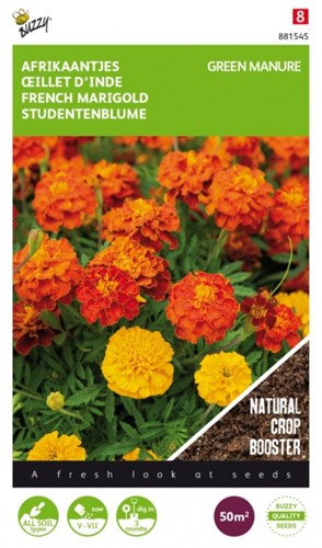 Groenbemester Afrikaantjes (Tagetes) / 50 gr - 50 m2