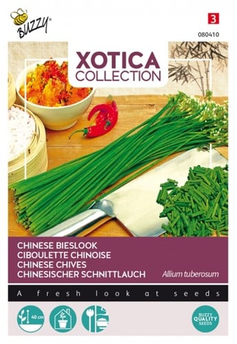 Chinese Bieslook - Xotica Collection