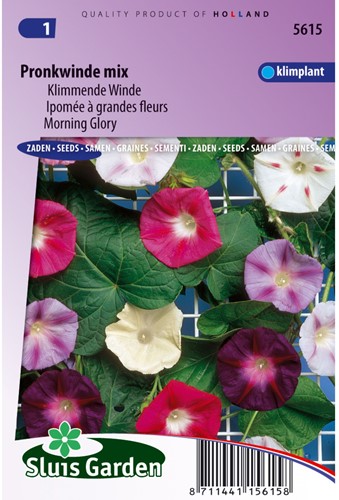 Klimmende Winde Choice Mixed - Ipomoea