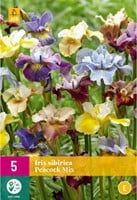 Iris sibirica Peacock Mix – Siberische Lis-2