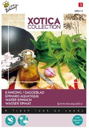 Kangkong of Dagoeblad – Xotica Collection