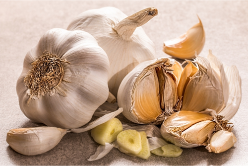 Knoflook - Alliu sativum