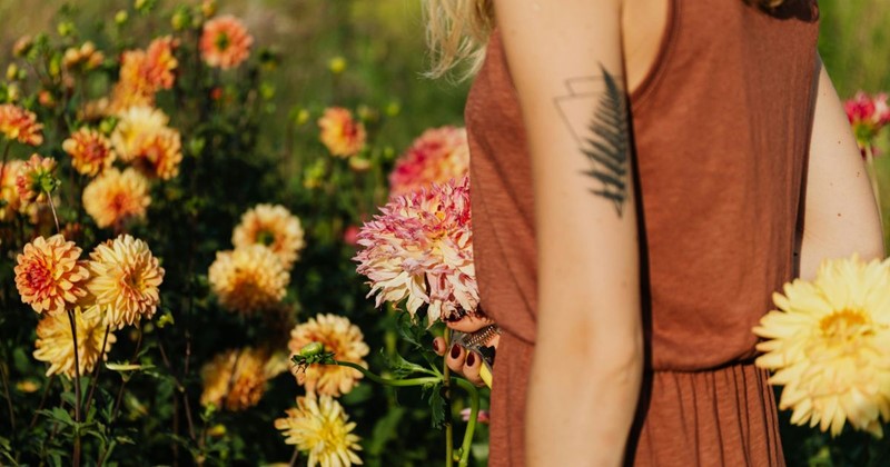 Dahlia bollen een van de mooiste zomerbloeiers