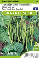 Stamslaboon Maxi EKO - Phaseolus Vulgaris