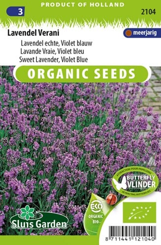 Lavendel echte, Violet blauw, Verani EKO