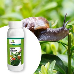Metarex-M tegen slakken en naaktslakken 250 g - Luxan