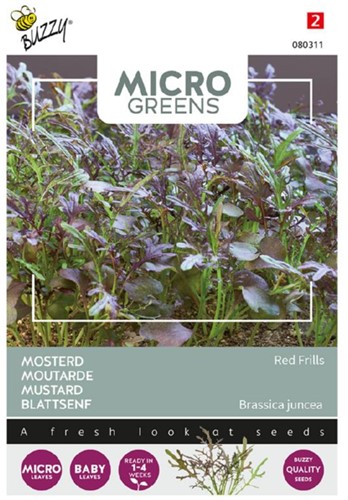 Mosterd Red Frills - Buzzy Microgreens