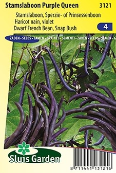 Stamslaboon Purple Queen  - Phaseolus Vulgaris