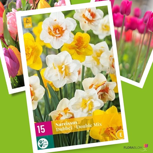 Narcissen Dubbel Mix - Narcissus