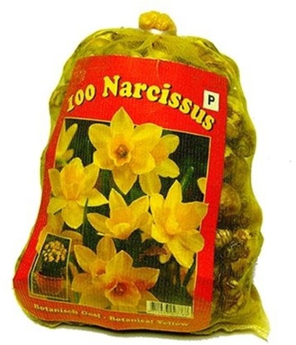 Narcissen Fantasie Mix - Narcissus XL-Verpakking