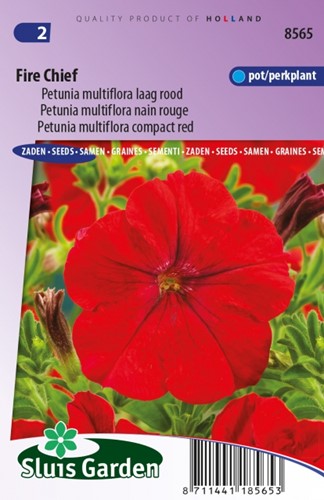 Petunia Multiflora Fire Chief Rood