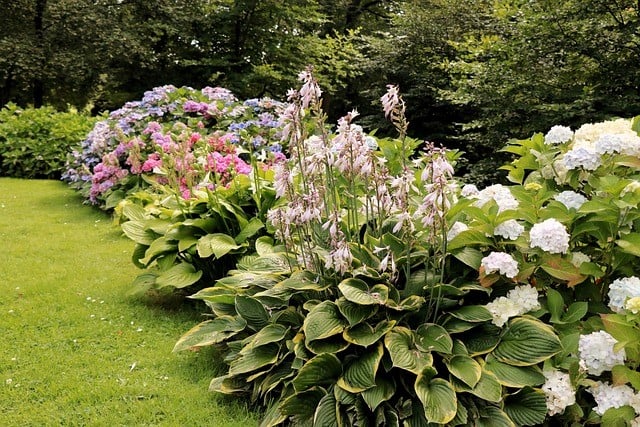 Onderhoudsvriendelijke tuin aanleggen