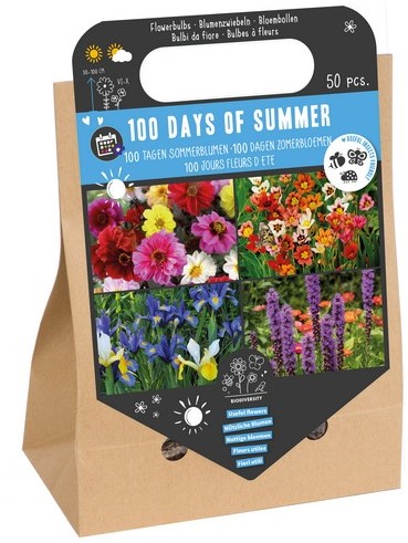 100 dagen Zomerbloemen - Bloembollen