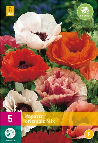 Papaver orientalis Mix - Klaproos-2
