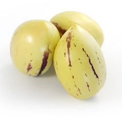 Pepino, Meloenpeer - Solanum muricatum