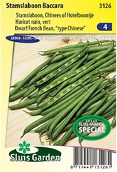 Stamslaboon Baccara - Phaseolus Vulgaris