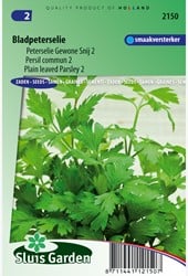 Peterselie Gewone Snij 2 - Petroselinum hortense