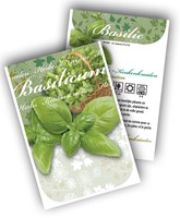 Basilicum