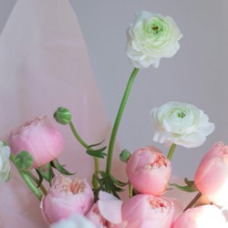 Ranonkels Wit & Roze Mix - Ranunculus