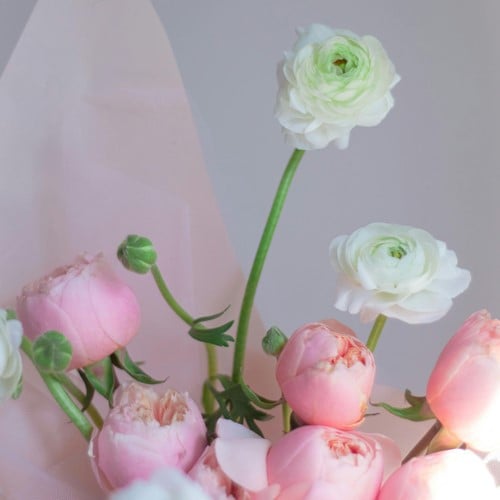 Ranonkels Wit & Roze Mix - Ranunculus