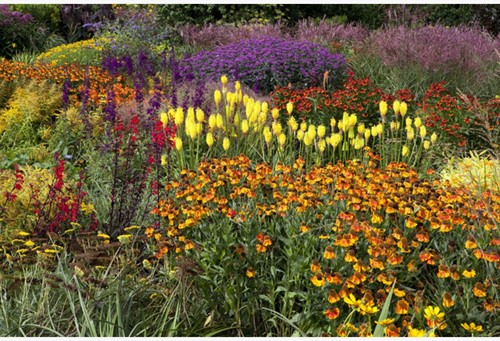 Tuinborder Oranje, Geel, Rood & Paars - Modeste Herwig