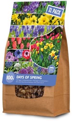 Bloembollenpakket 100 dagen lente XL Pack