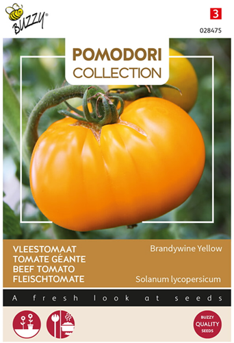 Vleestomaat Grappa Gialla Brandywine Yellow - Pomodori Collection