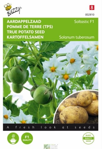 Aardappelzaad Soltastic F1- Solanum tuberosum