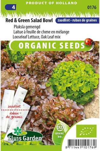 Pluksla Red Salad Bowl Zaadlint EKO-2