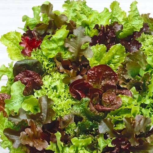 Sla Babyleaf Mix