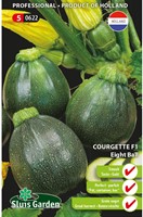 Courgette Eight Ball F1-2