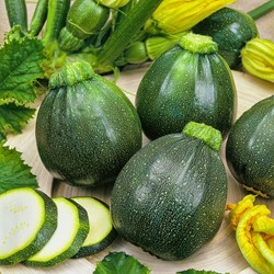Courgette Eight Ball F1