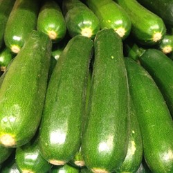 Courgette Defender F1