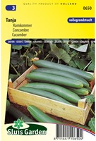 Komkommer Tanja-2