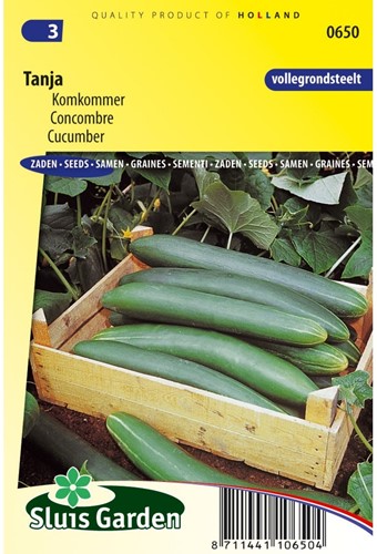 Komkommer Tanja-2