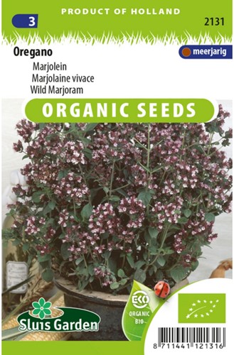 Oregano - Origanum Vulgaris EKO-2