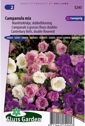 Klokjesbloem dubbelbloemig gemengd - Campanula mix-2