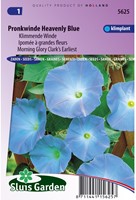 Klimmende Winde Clark's Blue - Ipomoea-2
