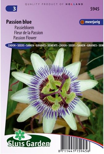 Passiebloem Passion Blue - Passiflora-2