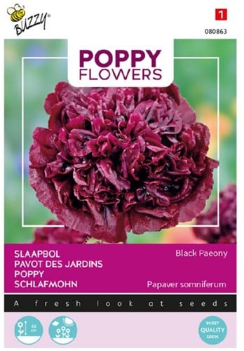 Papaver, slapbol Black Paeony - Poppy Flowers