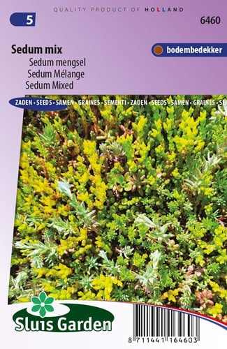 Vetkruid Mix - Sedum