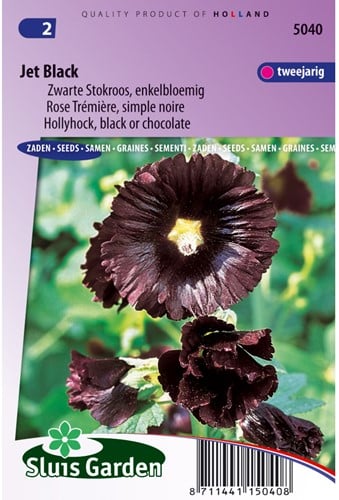 Stokroos Jet Black, enkelbloemig - Alcea rosea