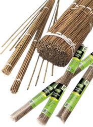 Tonkin Stokken 60 cm. 10 stuks in bundel - Nature