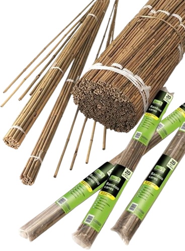 Tonkin Stokken 60 cm. 10 stuks in bundel - Nature