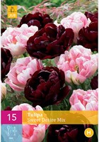 Tulpen Sweet Desire Mix - Tulipa